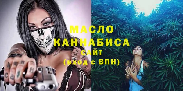 скорость Вяземский