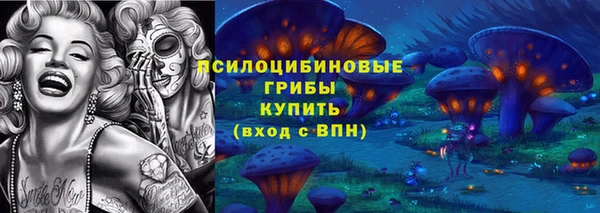 скорость Вяземский