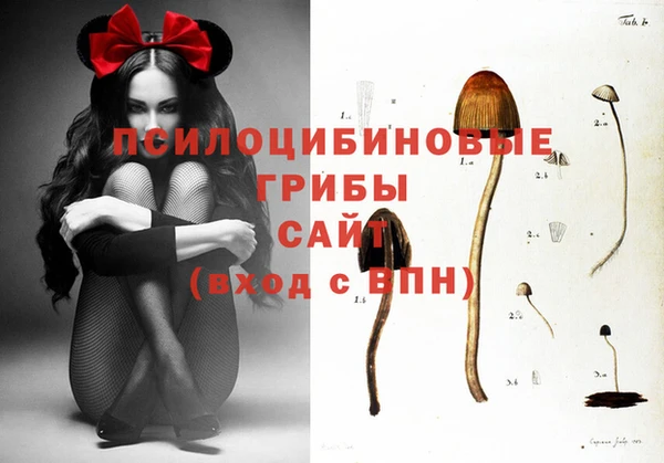 2c-b Вязьма