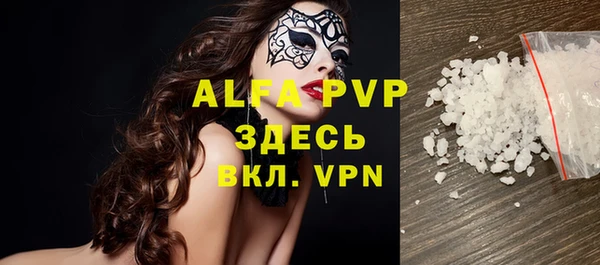 скорость Вяземский